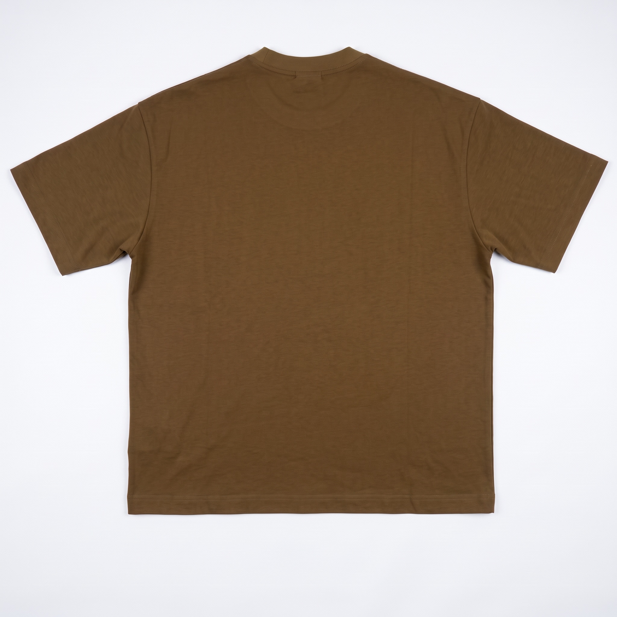 Fallen Flesh Tour Graphic Tee – Brown